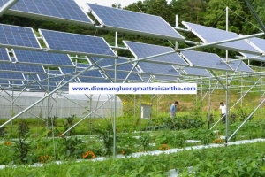 Ninh Thuận: Dự án điện mặt trời kết hợp sản xuất nông nghiệp