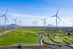 Năng lượng tái tạo 'hút' đại gia nước ngoài 'đổ tiền' vào Việt Nam